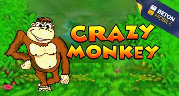 https://themoonrest.ru/wp-content/uploads/2024/07/crazy-monkey-1.jpg